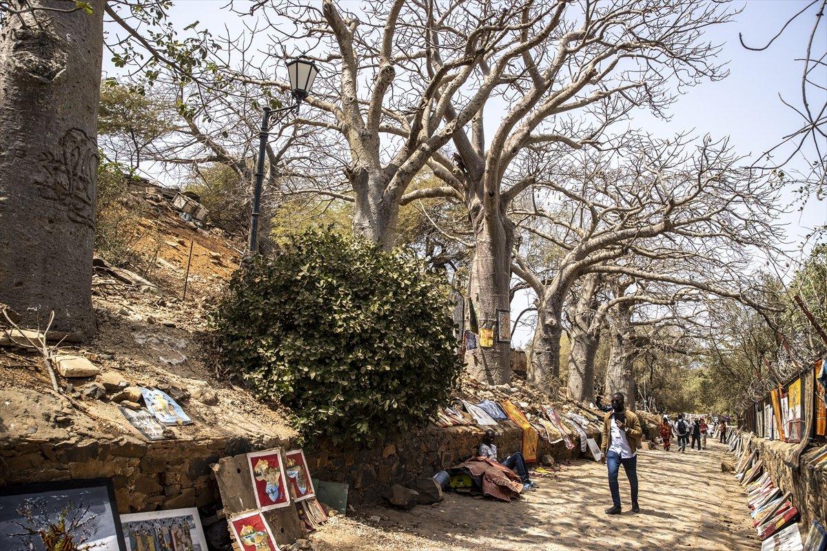 Senegal'de kölelerin satıldığı yer, Utanç Adası olarak anılıyor