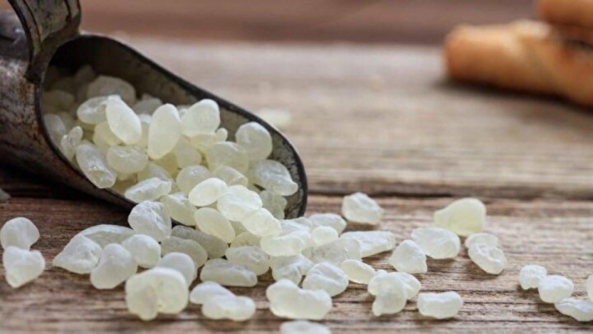 Mezda sakızı ne işe yarar, faydaları nelerdir? Balla karıştırdığınızda...