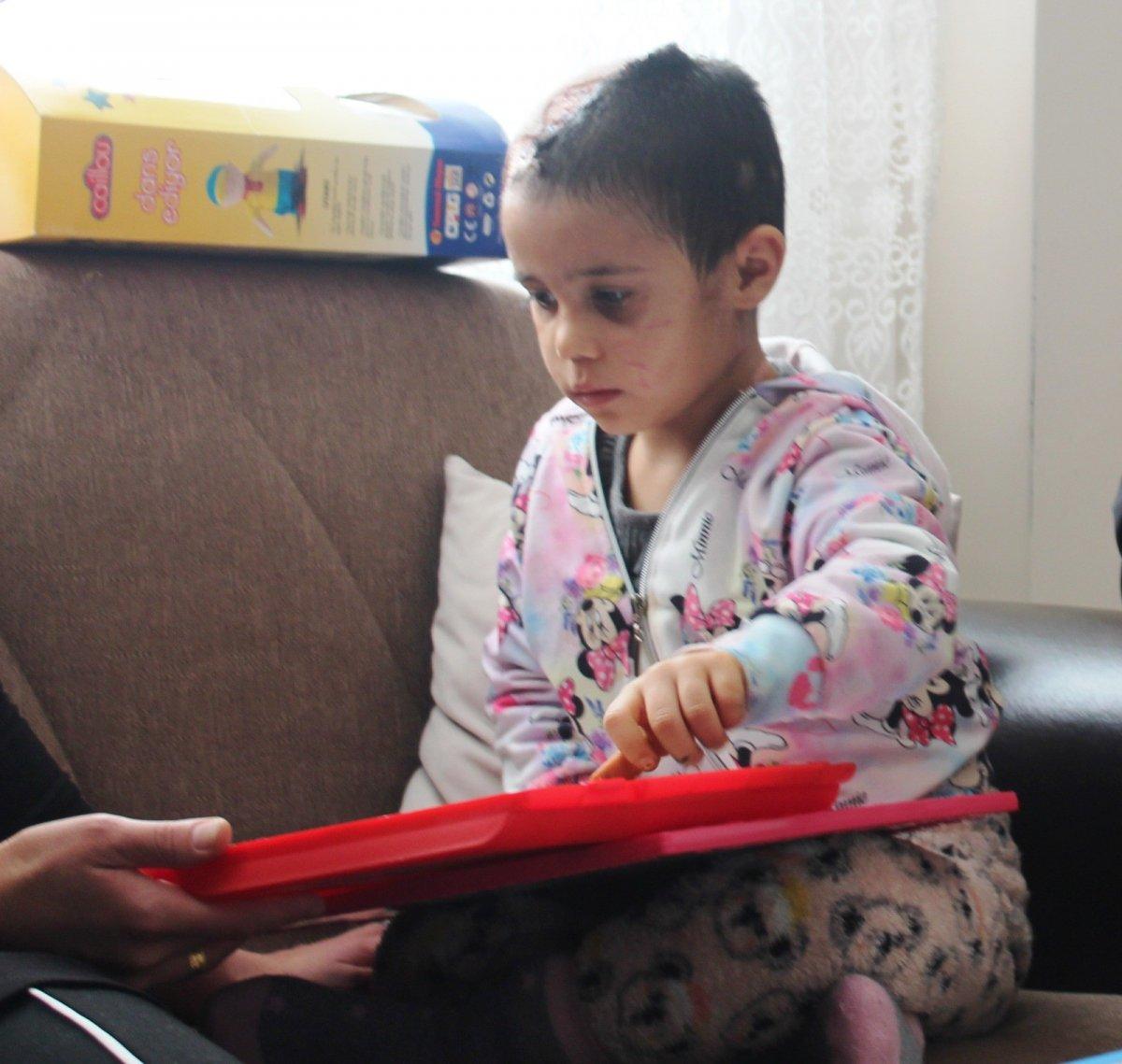 Asiye Ateş’in pitbull saldırısına uğramasına ilişkin davada 4 tahliye