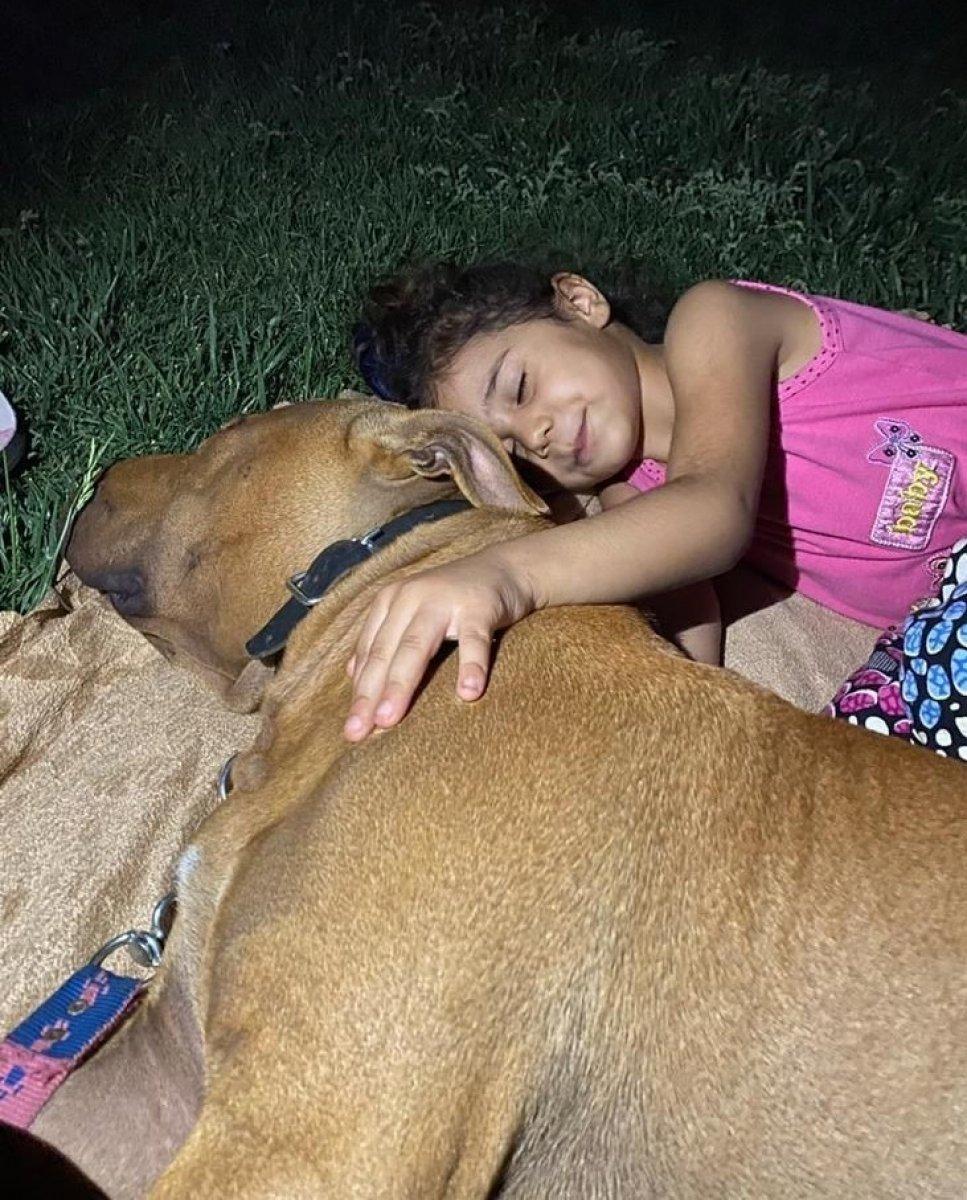 Asiye Ateş’in pitbull saldırısına uğramasına ilişkin davada 4 tahliye