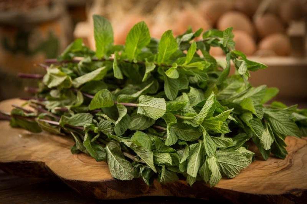 Taze naneye limon sıkıp yemenin mucize etkisi