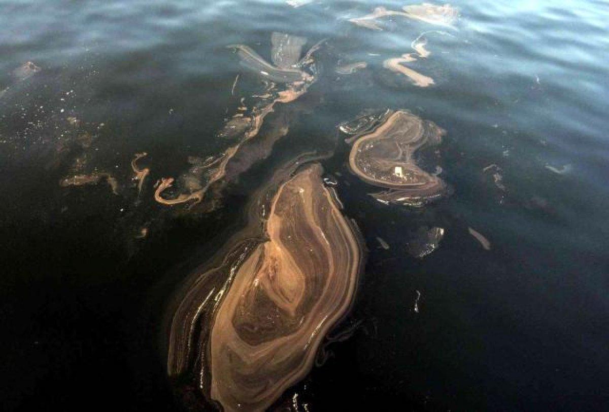 İstanbul'da, müsilaj yeniden görüldü
