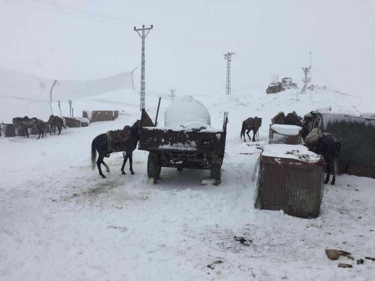 Van’da, kaçakçıların bıraktığı atlara yüklü yüzlerce tüfek ele geçirildi