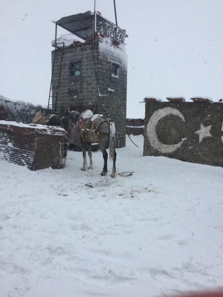 Van’da, kaçakçıların bıraktığı atlara yüklü yüzlerce tüfek ele geçirildi