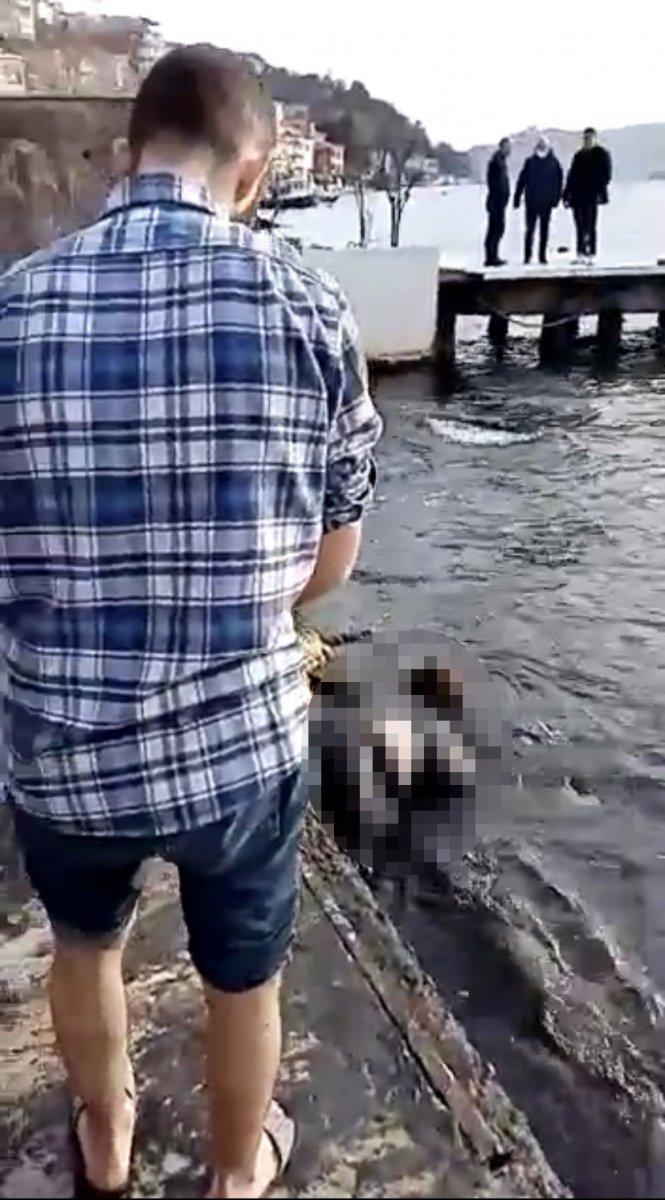 Sarıyer’de denizden kadın cesedi çıktı