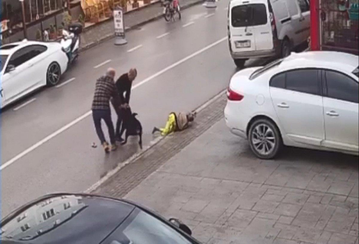 Kocaeli'de köpek tehlikesi: Kardeşini kucağından düşürdü