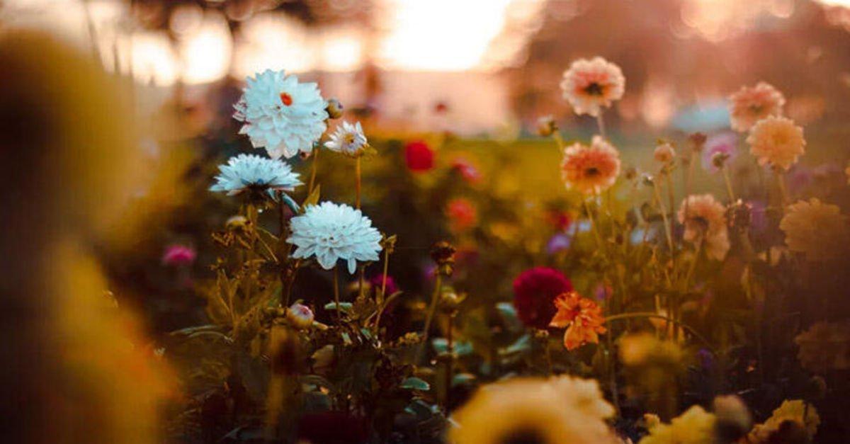 Üçüncü cemre ne zaman ve nereye düşecek? İşte 3. cemre düşme tarihi 2022