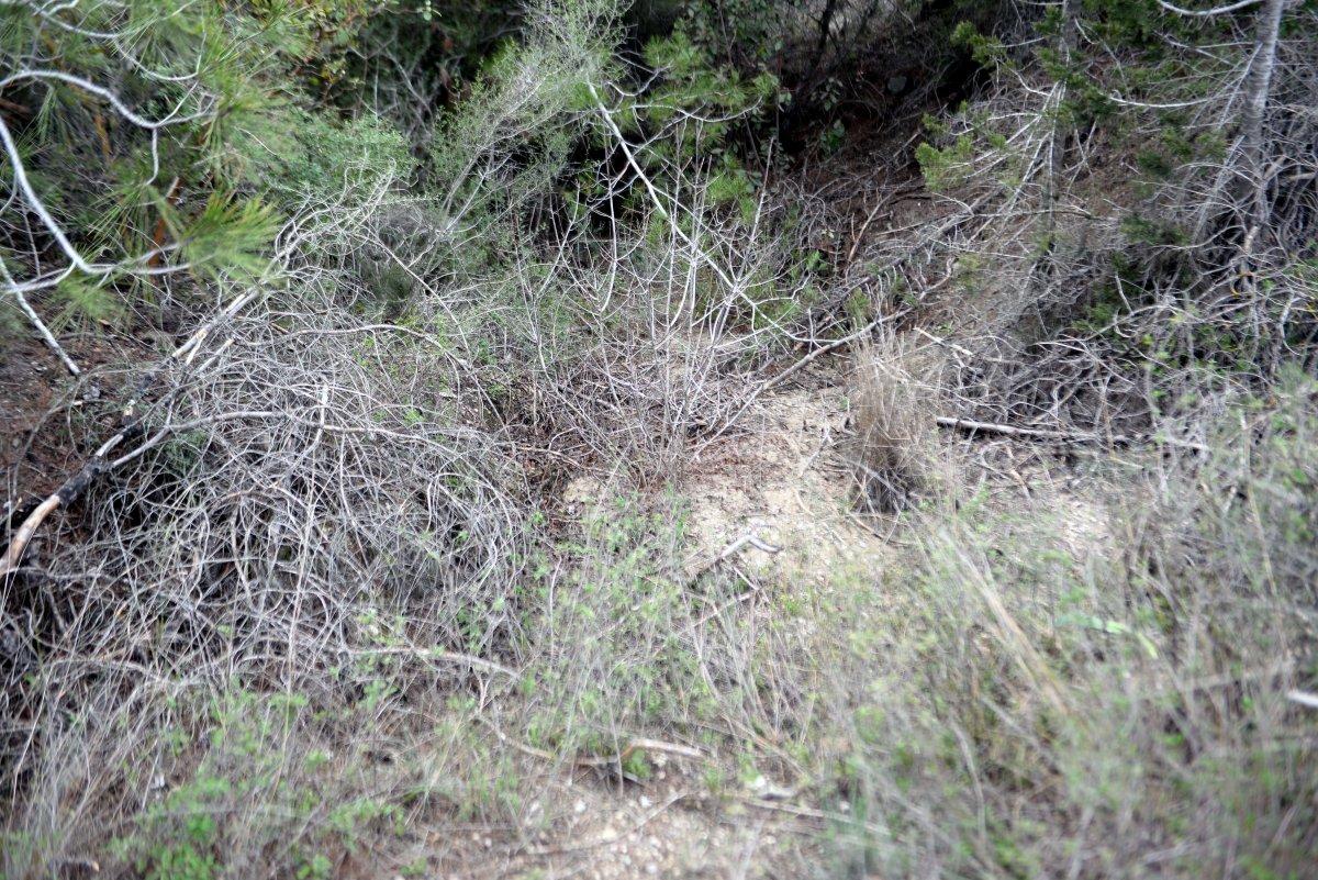 Adana'da öldürüldükten sonra gömülen gencin cesedine ulaşıldı