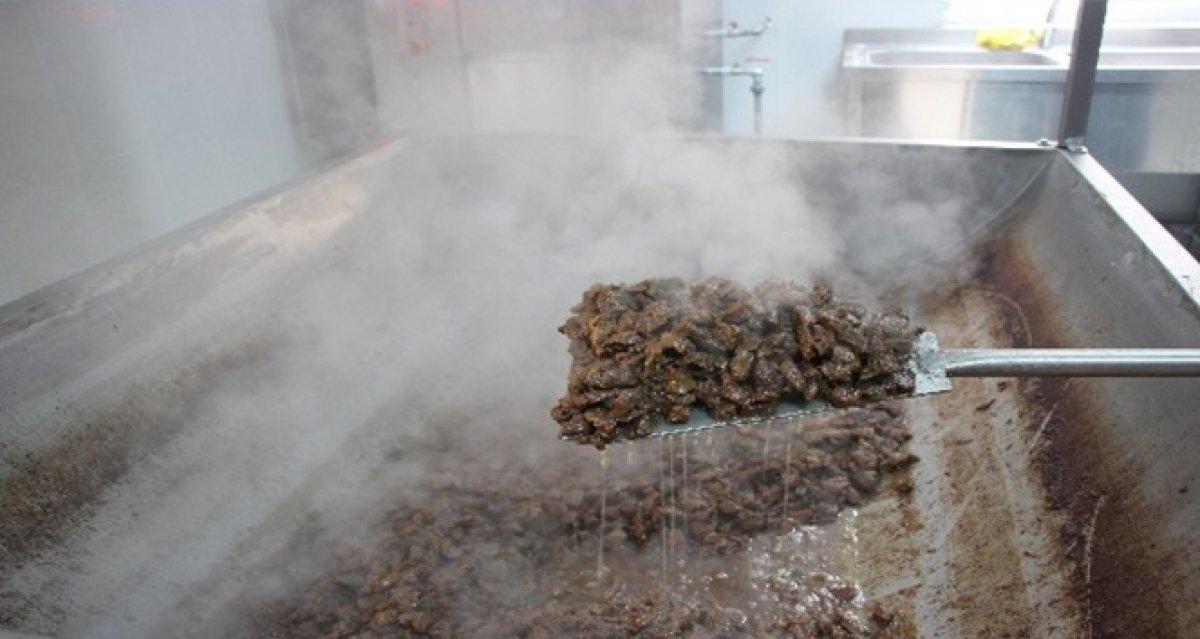 Canan Karatay: Kuyruk yağ yerseniz, ömrünüz uzun olur