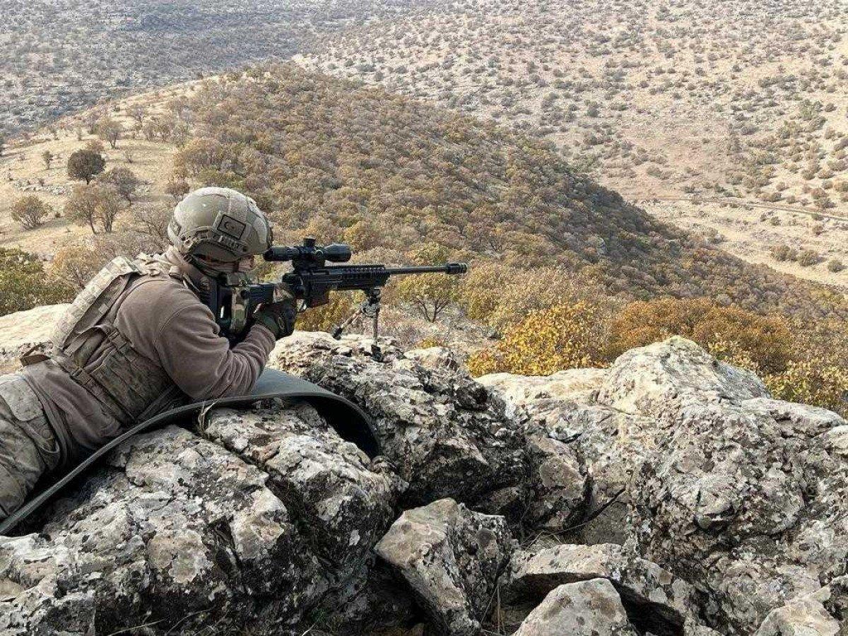 Mardin'de Eren-Kış 29 Operasyonu başladı