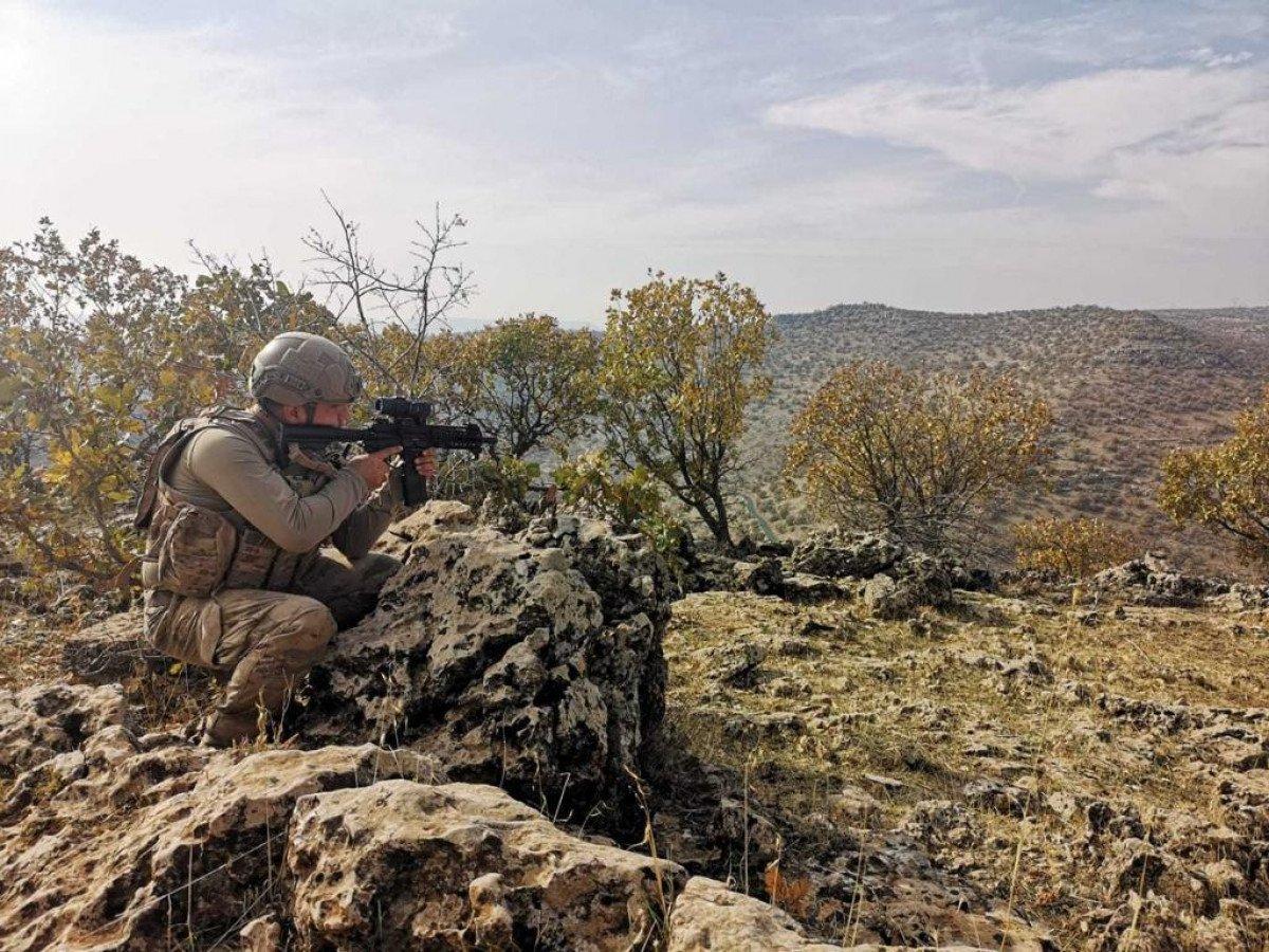 Mardin'de Eren-Kış 29 Operasyonu başladı
