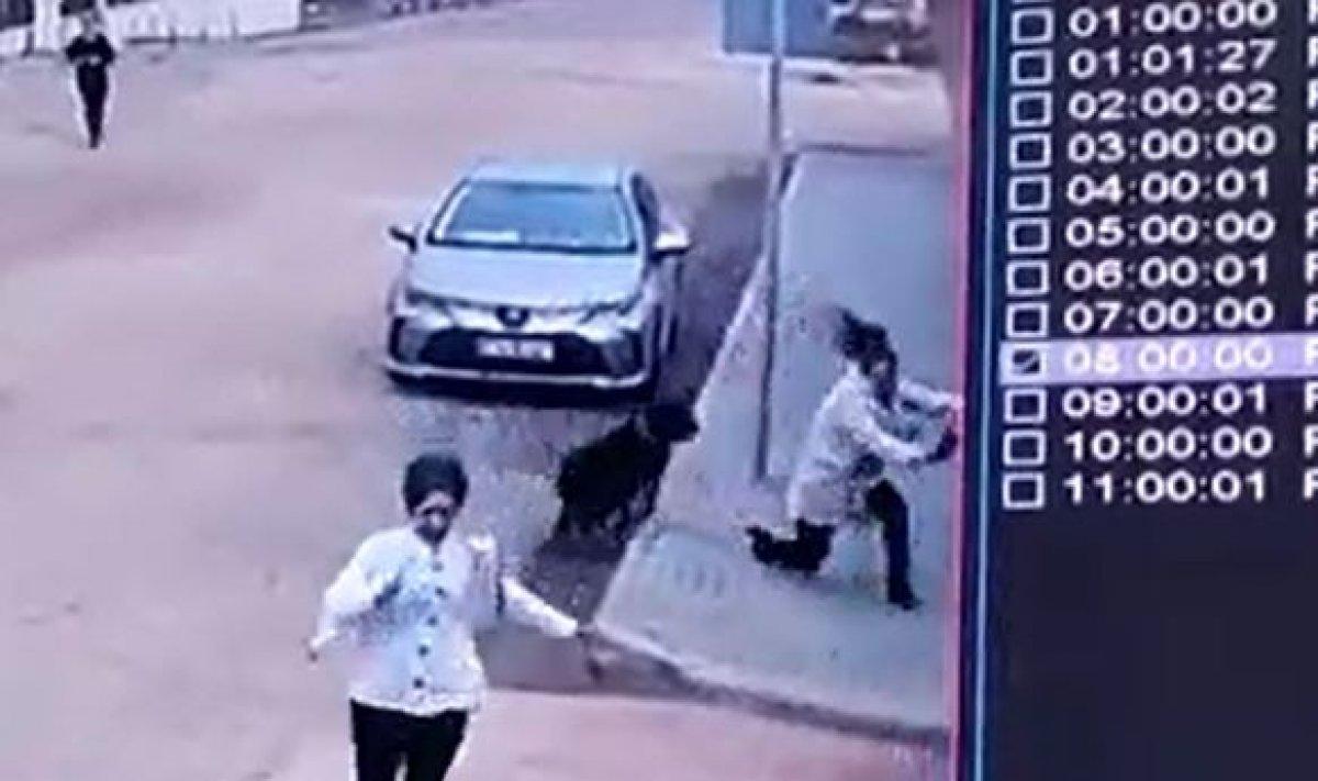 Gaziantep’te bahçeden kaçan köpek, kadına saldırdı