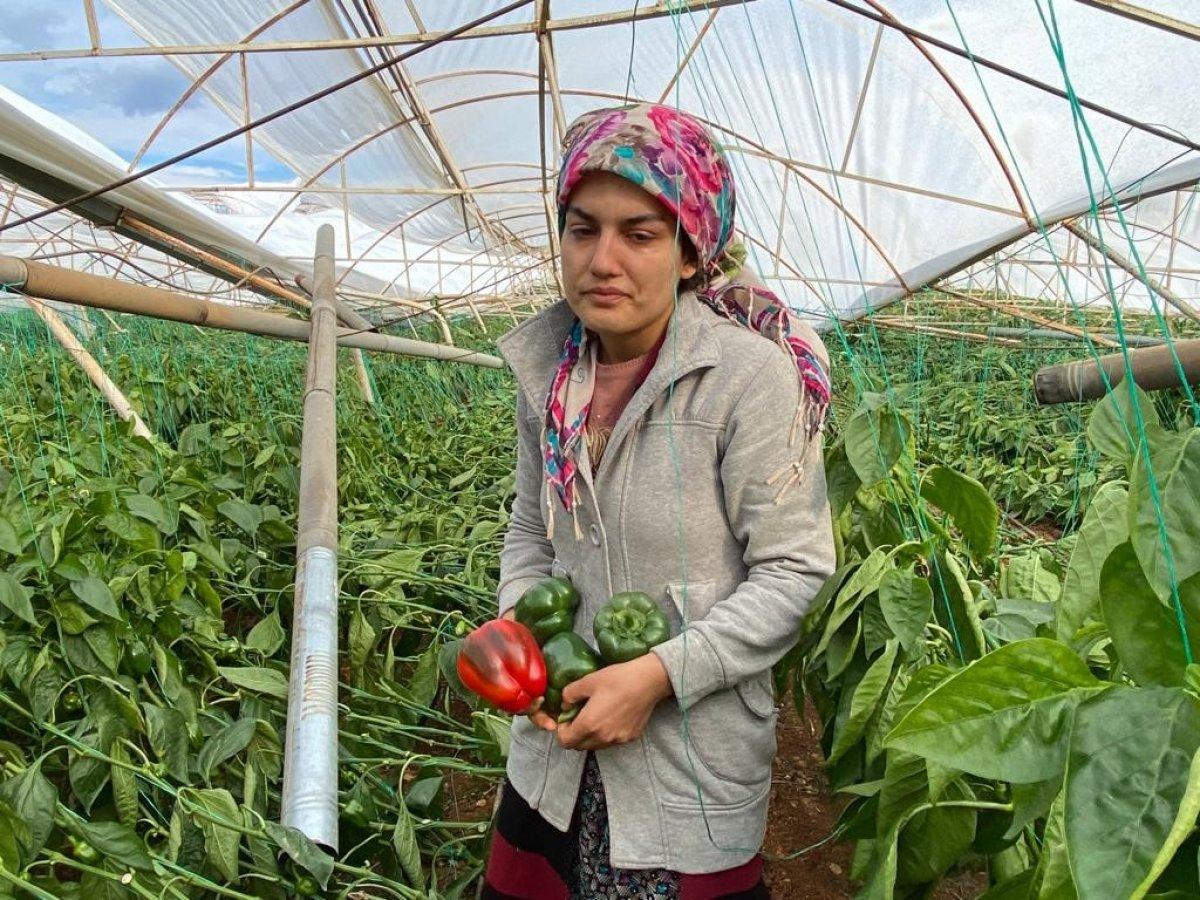 Antalya'yı hortum vurunca, serası hasar gören kadın gözyaşı döktü