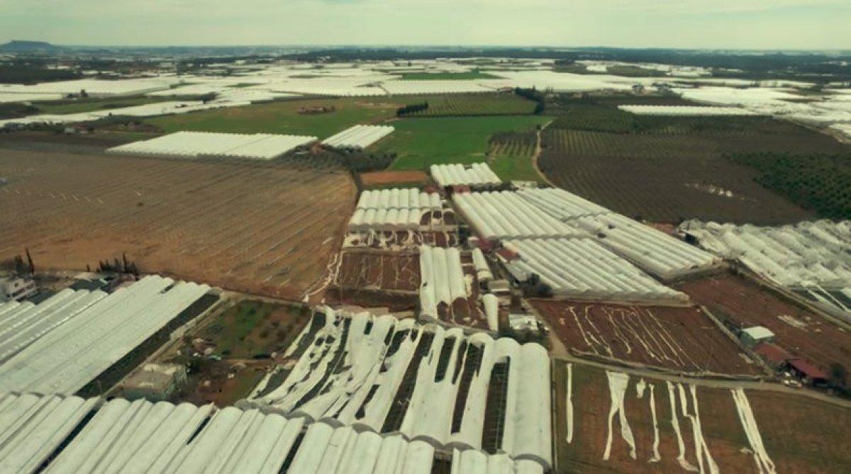 Antalya'da hortum, seraları yerle bir etti