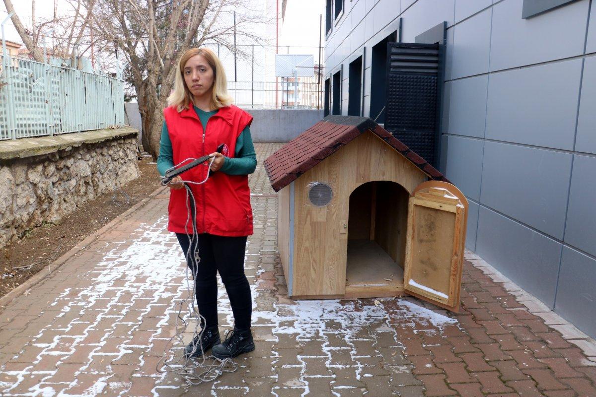 Sivas'ta 1 haftadır kayıp Dobby'i bulana ödül verilecek