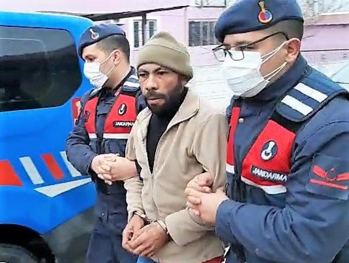 Denizli'deki hırsızlık çetesi, çalınan tavus kuşlarını yeme kavgası yaptı