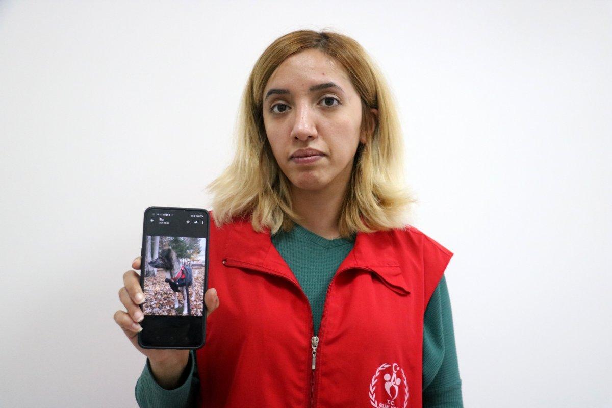 Sivas'ta 1 haftadır kayıp Dobby'i bulana ödül verilecek