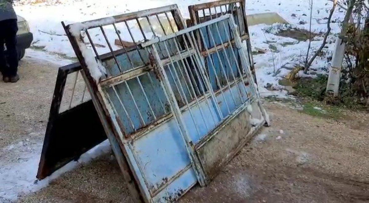 Denizli'deki hırsızlık çetesi, çalınan tavus kuşlarını yeme kavgası yaptı