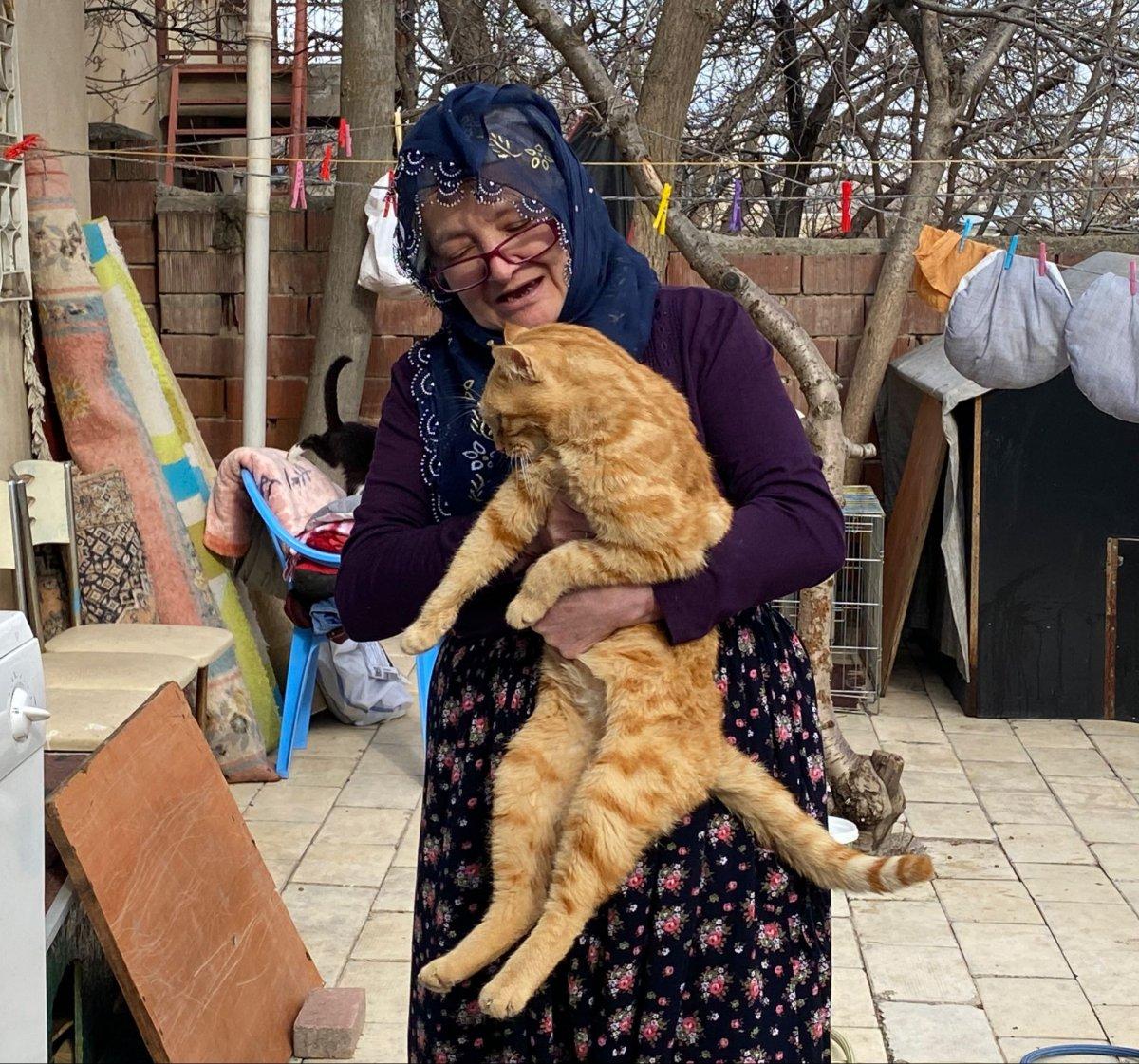 Elazığ'da Nuriye Teyze, 70 kedinin annesi oldu