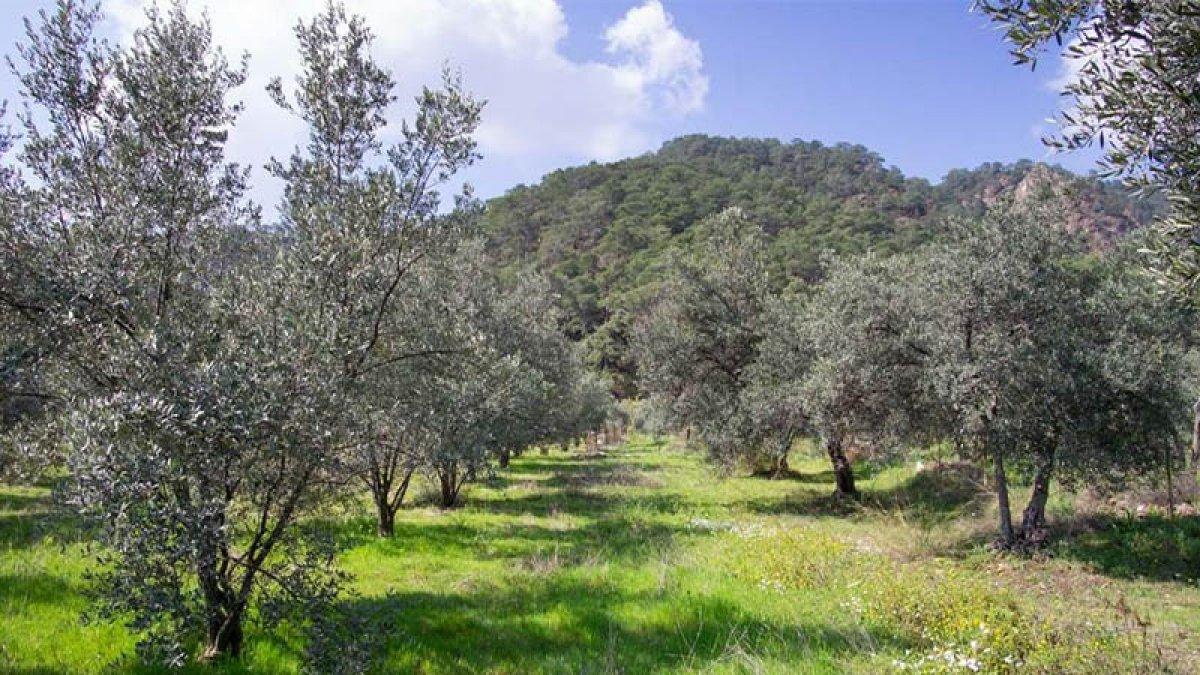 Çevre Bakanlığı'ndan 'sit alanlarına yapı izni' haberlerine yalanlama