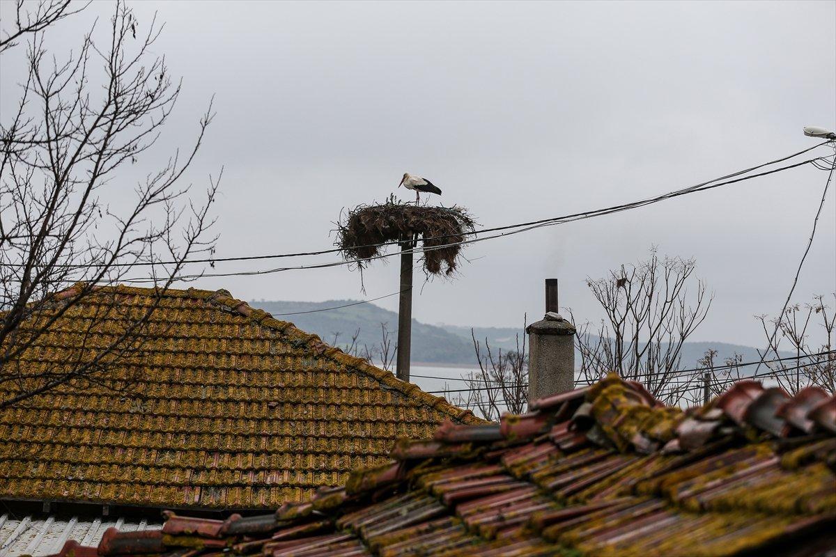 Yaren leylek ile balıkçı Adem Yılmaz'ın 11'inci buluşması