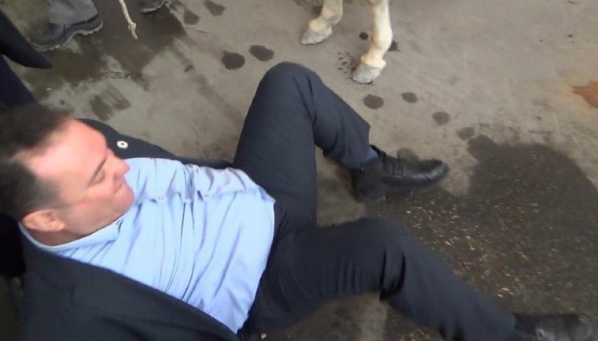 Gaziantep'te eşekli eylem, Gelecek Partili ilçe başkanının düşmesiyle son buldu