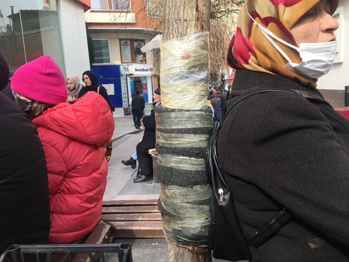 Eskişehir'de ağaca rahat yaslanmak için sünger bantladılar