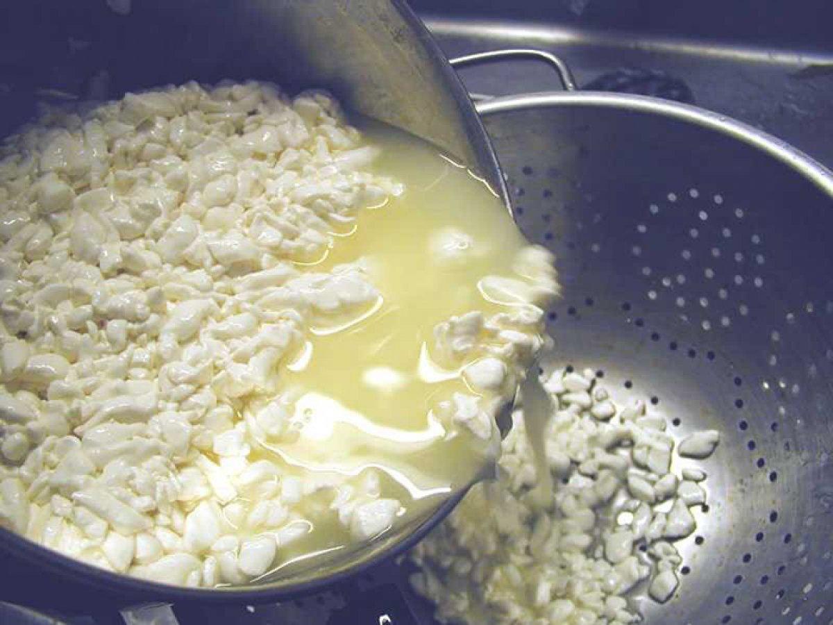 Her gün 1 bardak peynir suyu içmenin mucizeleri