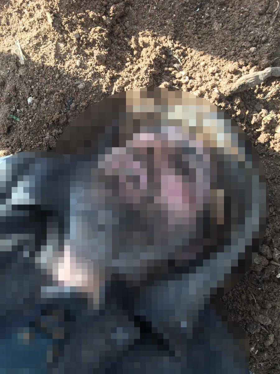 Şanlıurfa'da polisleri şehit eden saldırgan ölü ele geçirildi