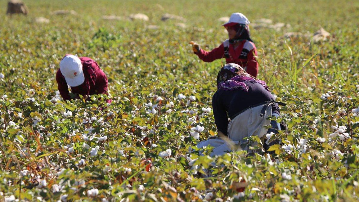 Vahit Kirişci: Rusya ve Ukrayna'ya birçok alternatifimiz bulunmaktadır