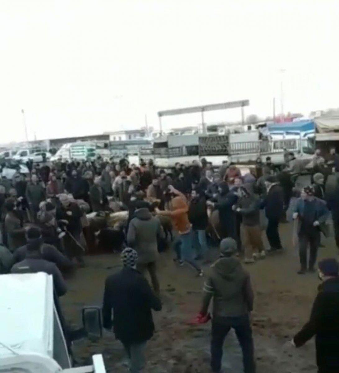 Iğdır'da hayvan pazarında sopalı kavga