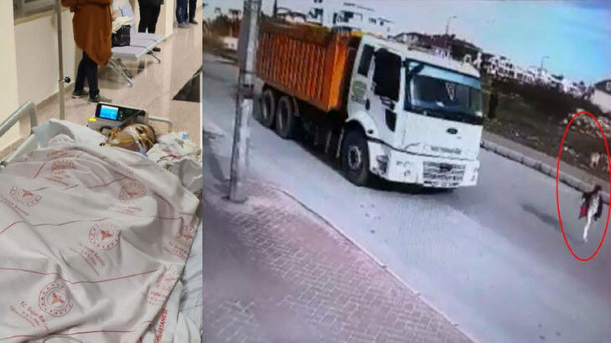 Yıldız Tilbe'den başıboş köpek çıkışı: Sevmek için bir sebep göremiyorum