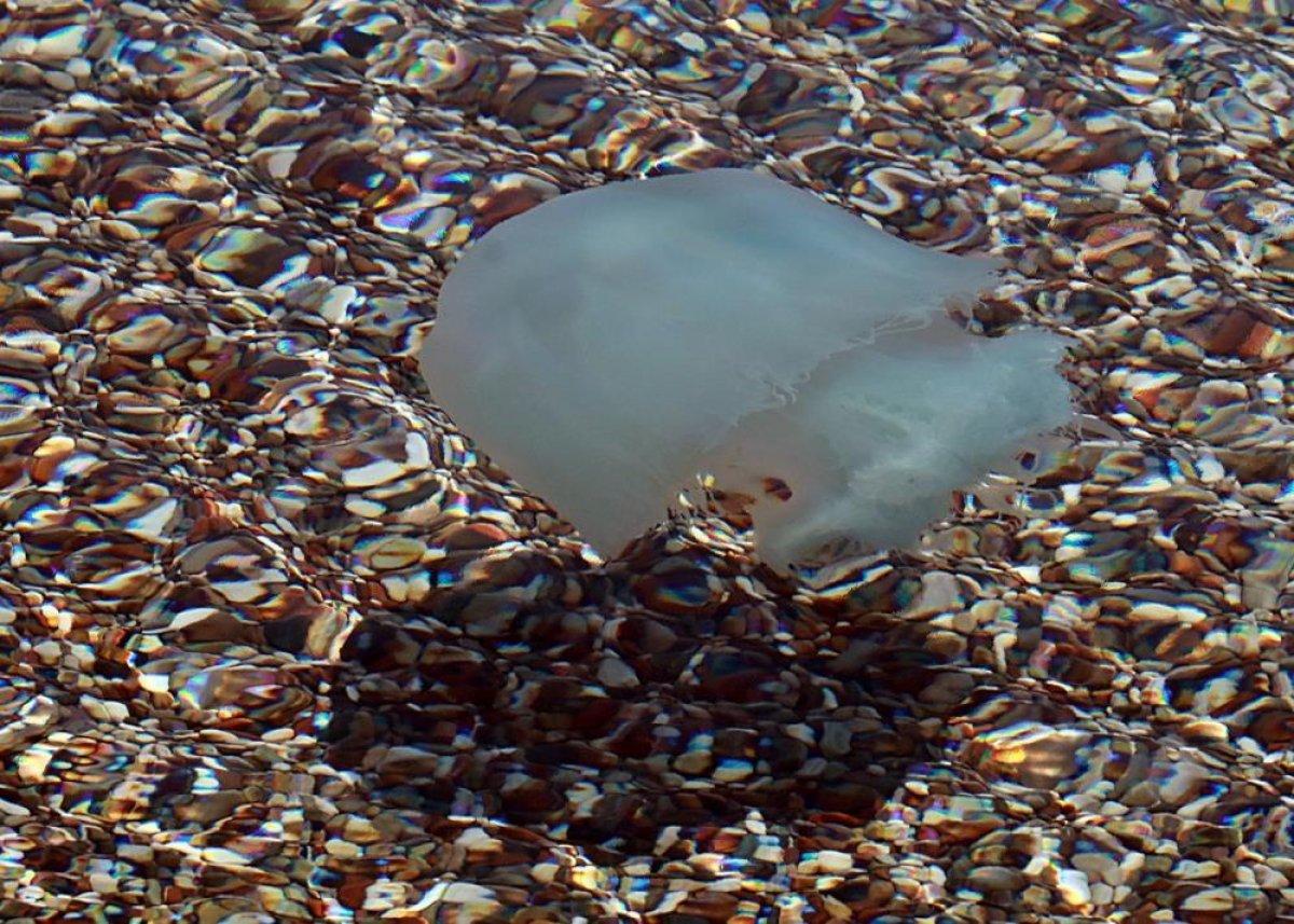 Antalya'da kar, deniz ve güneş keyfi