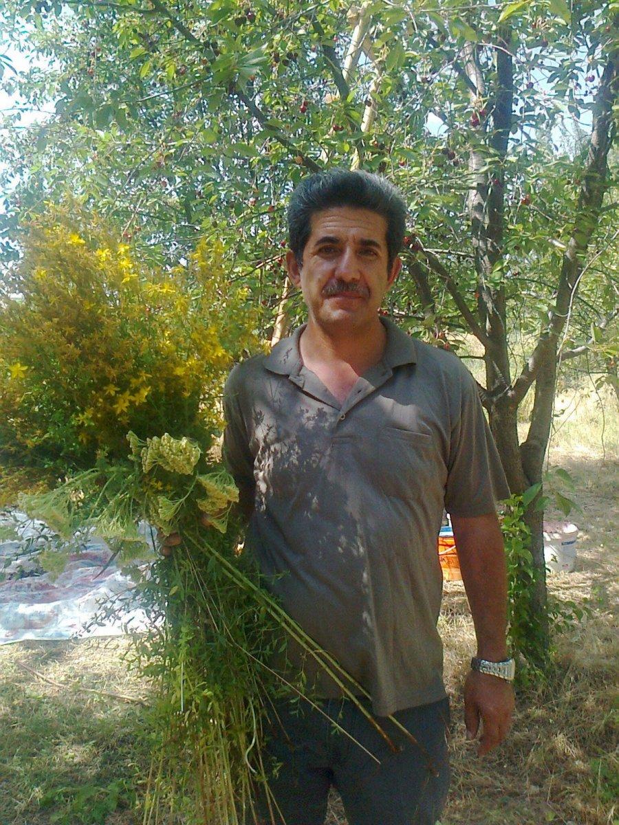 Afyonkarahisar’da defineci profesörden 'pişmanım' açıklaması