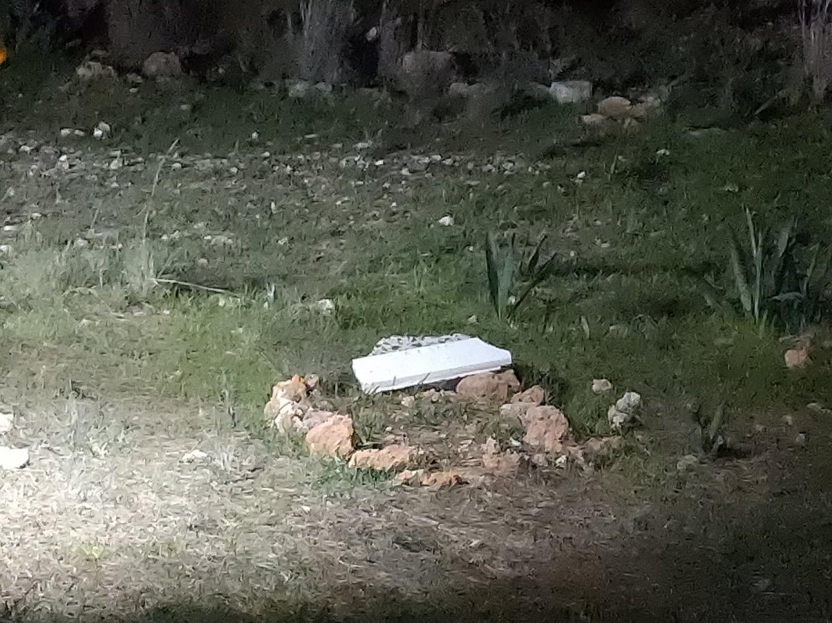 Antalya'da ormandaki mezardan köpek ölüsü çıktı