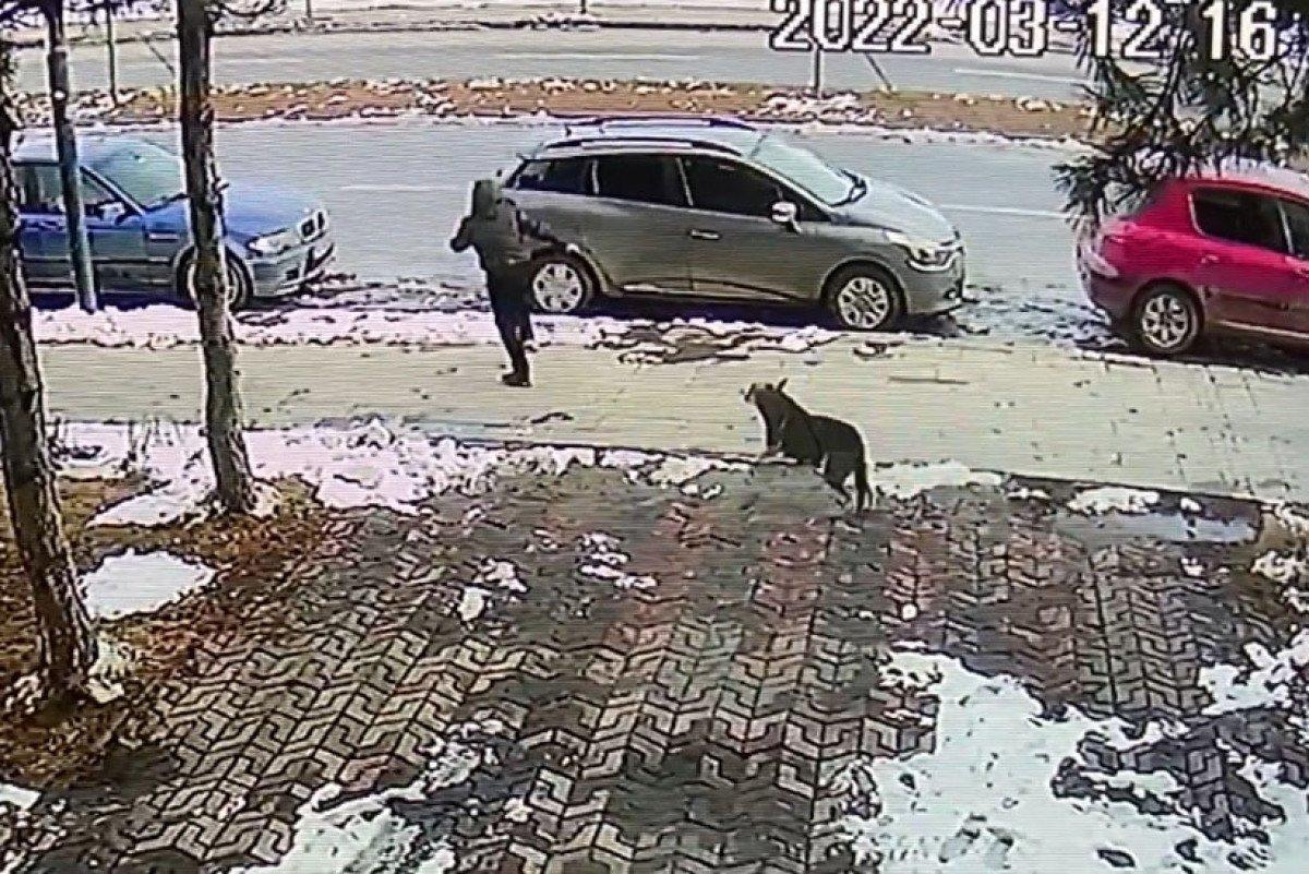 Sivas'ta köpekten kaçarken otomobilin çarptığı çocuk, hayati tehlikeyi atlattı