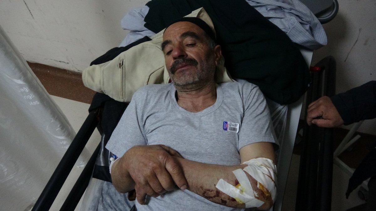 Bingöl'de yaşlı adam başıboş köpeğin saldırısına uğradı