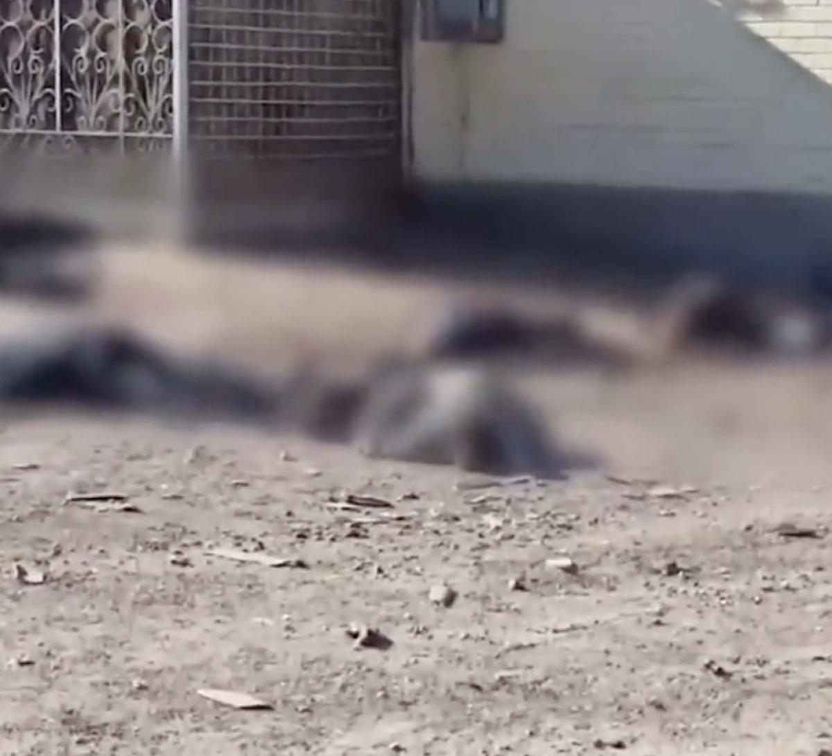 Rusya, Ukrayna'da ekmek sırasındaki sivillere ateş açtı: 10 ölü