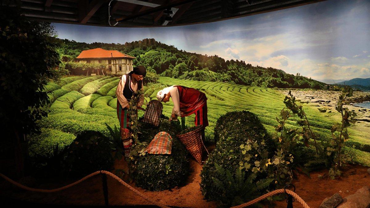 Doğal Yaşam Müzesi Rize'nin kültürünü gelecek kuşaklara taşıyor