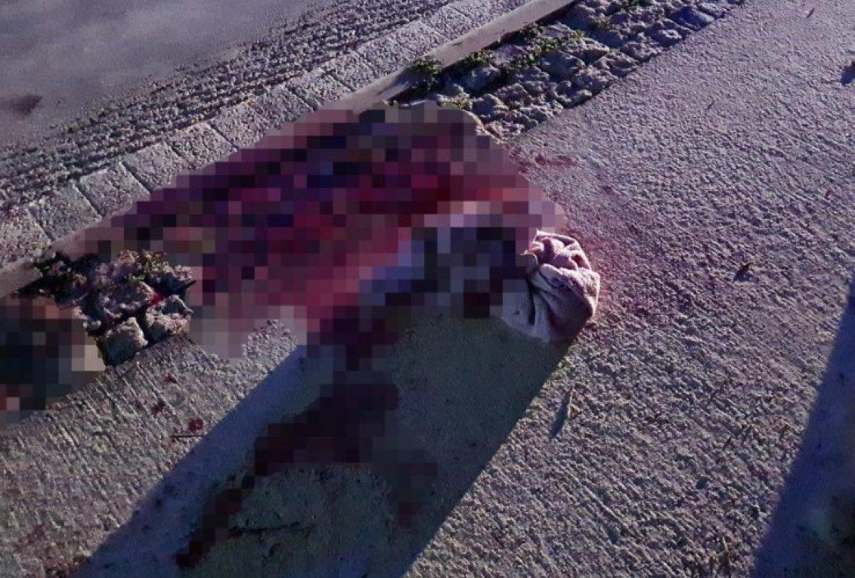 Bodrum'da cadde ortasında 40 kişi birbirine girdi