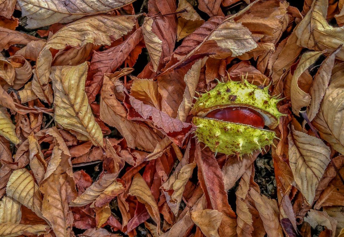 Varisli damarlara karşı 7 etkili doğal tedavi