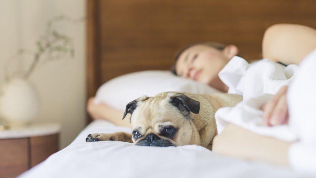 Dünyanın en uzun uyuyan ülkeleri açıklandı