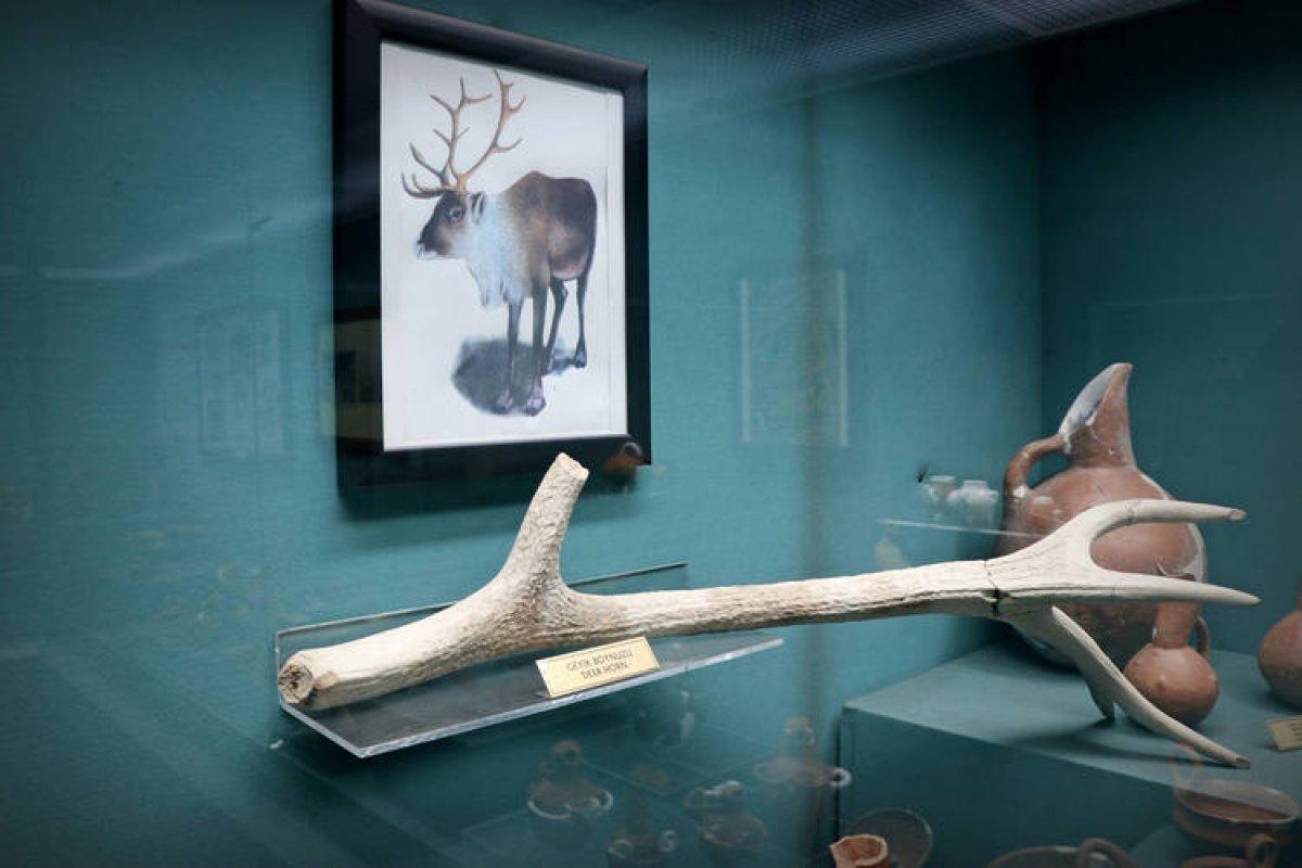 Kütahya'daki höyükten çıkarılan binlerce eser Anadolu arkeolojisine kazandırıldı