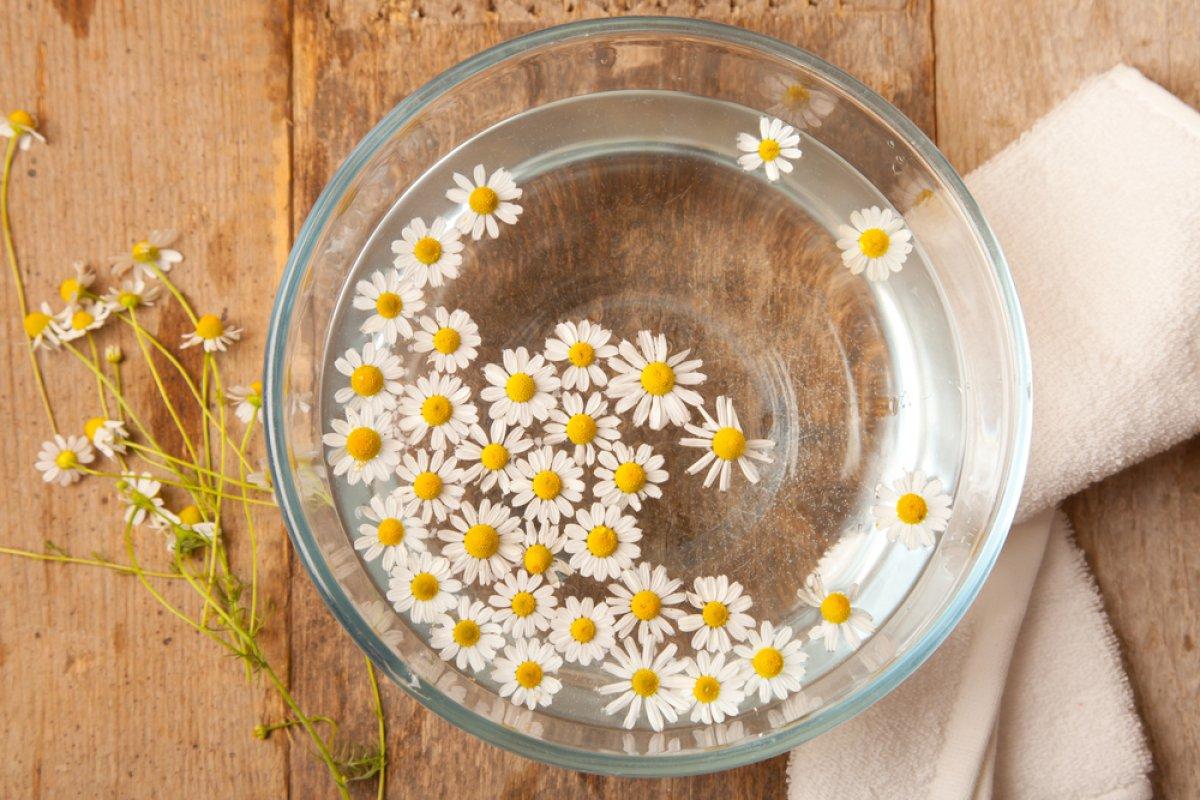 Sadece koklamanız yeterli! Sinüsleri pırıl pırıl yapan papatya kürü...