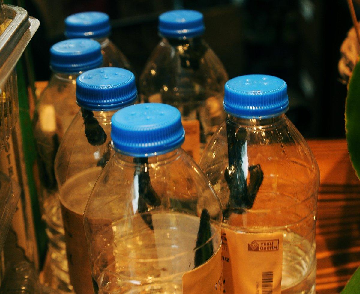 Tıbbı sülük fiyatları 8 kat arttı