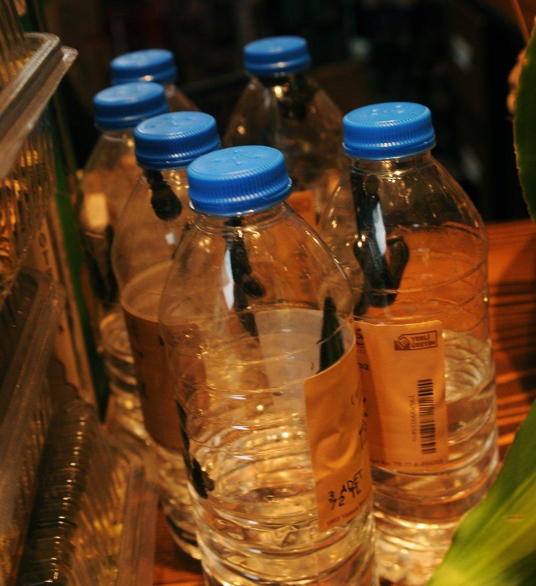 Tıbbı sülük fiyatları 8 kat arttı