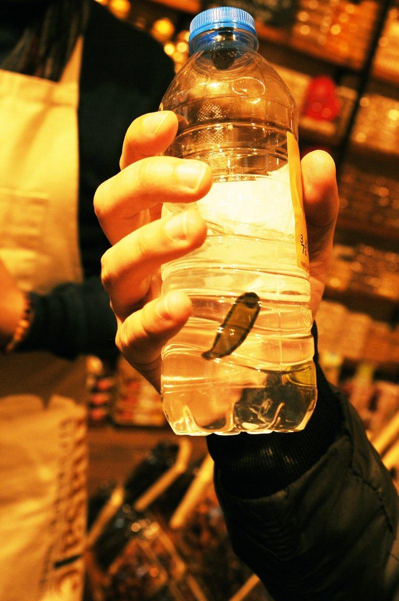 Tıbbı sülük fiyatları 8 kat arttı