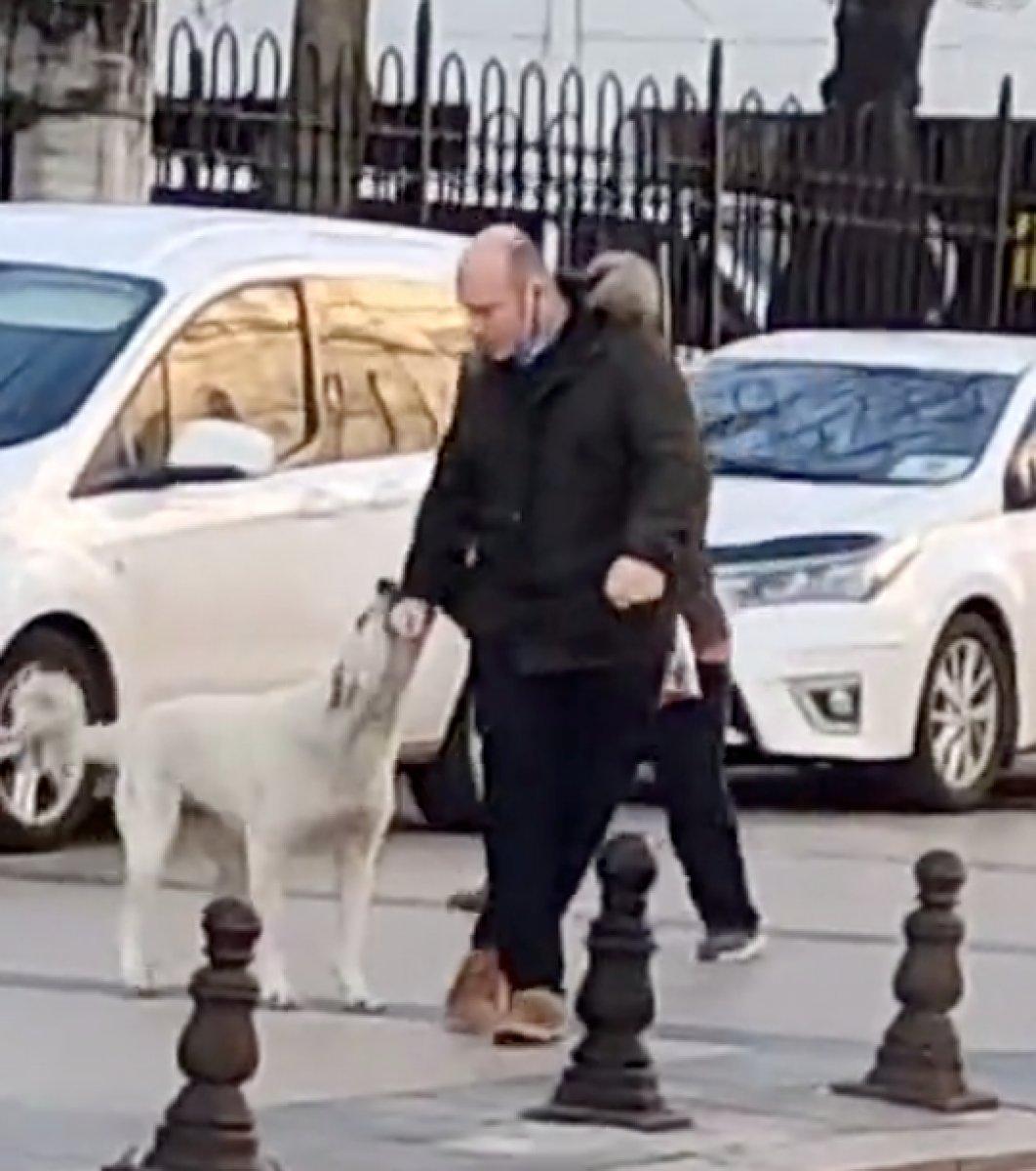 İstanbul'da yoldan geçen herkesi ısıran köpek