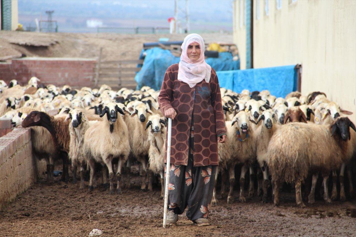 Elazığ’da devlet desteği ile çiftlik sahibi oldu