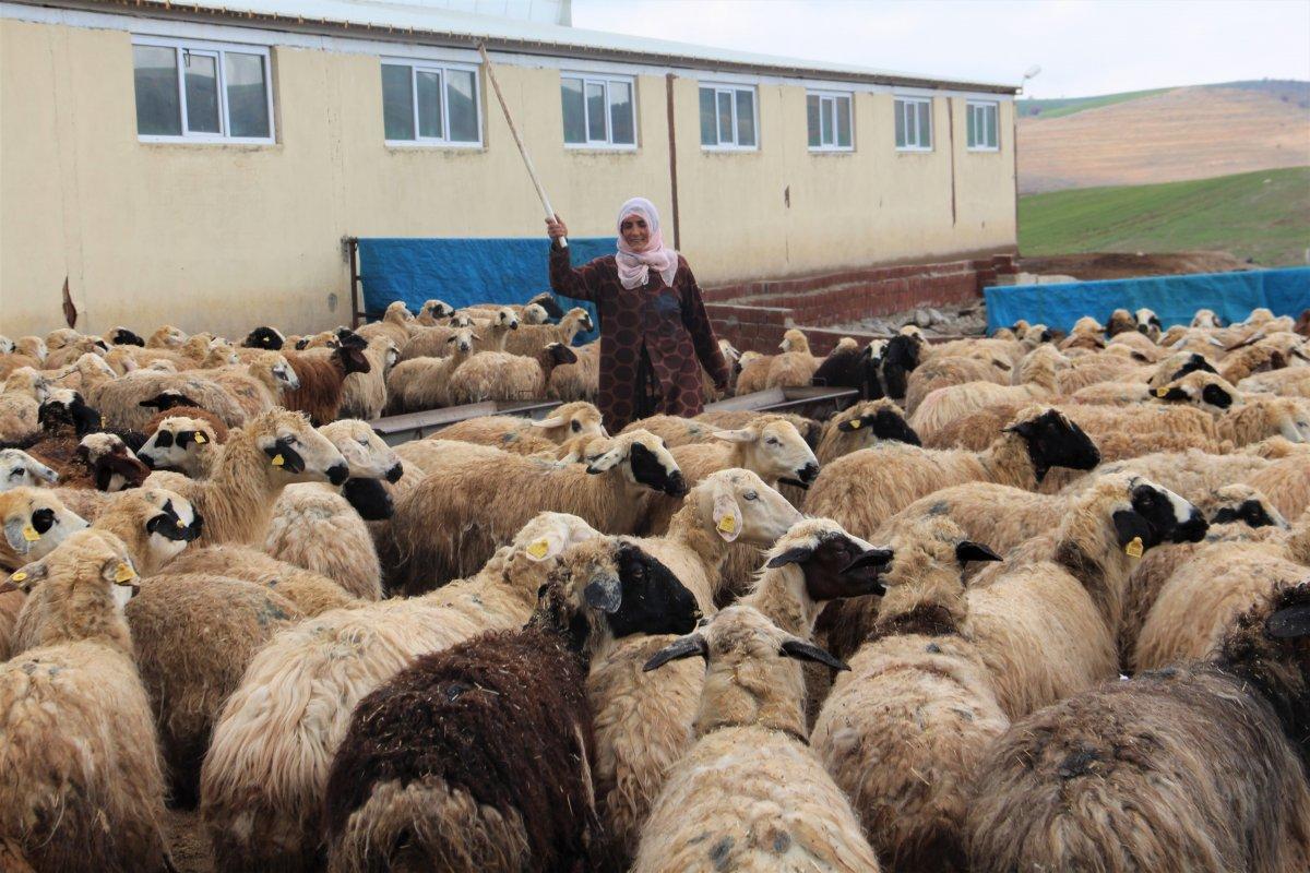 Elazığ’da devlet desteği ile çiftlik sahibi oldu